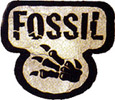 about pokemon cards fossil unlimited 