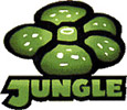 about pokemon cards jungle unlimited 