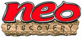 neo discovery pokemon cards