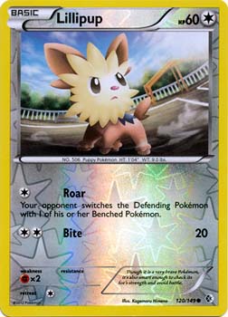 Lillipup 120/149