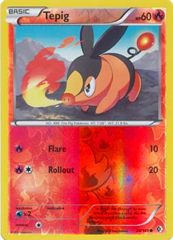 Tepig 24/149