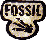 about pokemon cards fossil unlimited 
