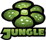 about pokemon cards jungle unlimited 