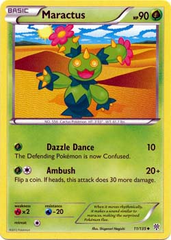 Maractus 11/135