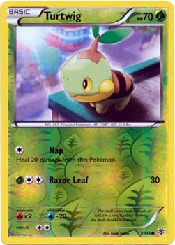 Turtwig 1/135